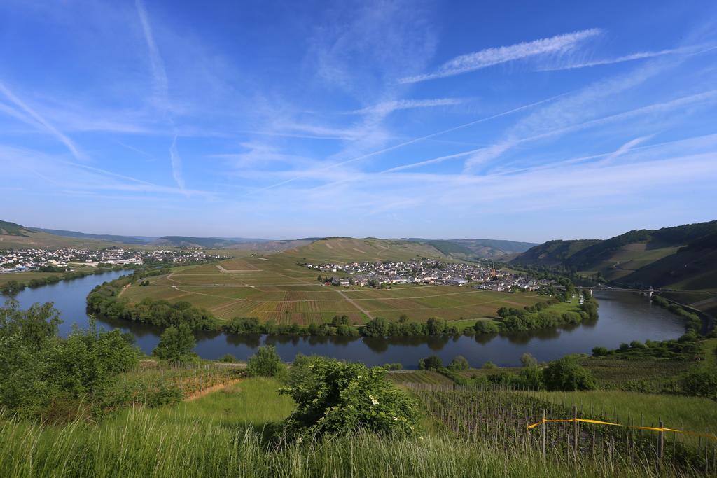Ernst Cluesserath Weingut & Weinhotelchen Trittenheim Extérieur photo